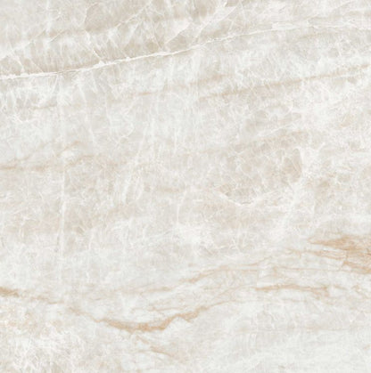 Kraken Polished 24 x 24 — product image 3