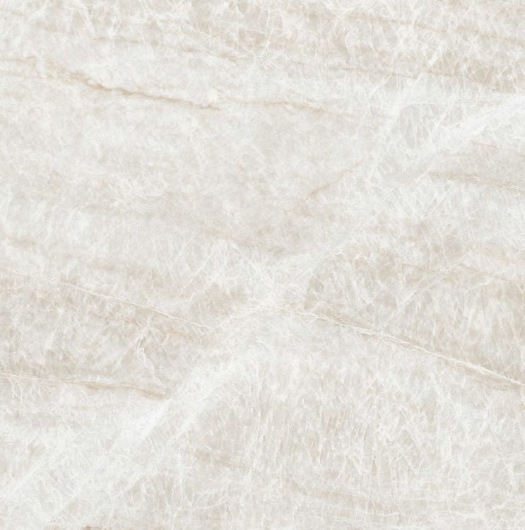 Kraken Polished 24 x 24