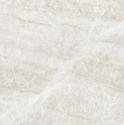 Kraken Polished 24 x 24 — product image 5