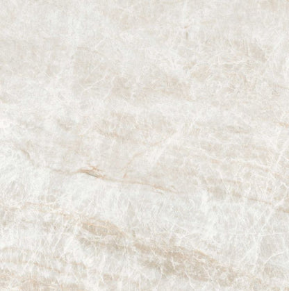 Kraken Polished 24 x 24 — product image 6