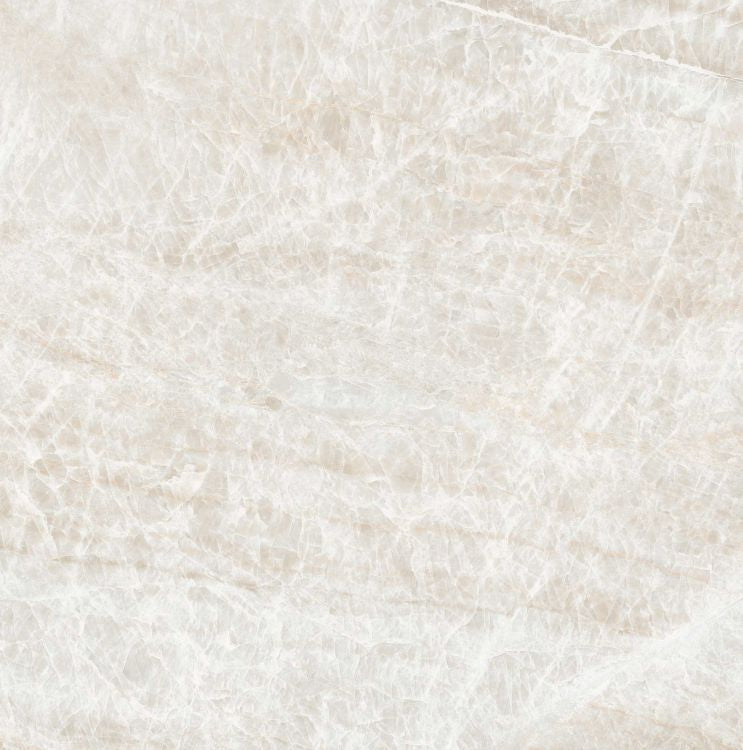 Kraken Polished 24 x 24