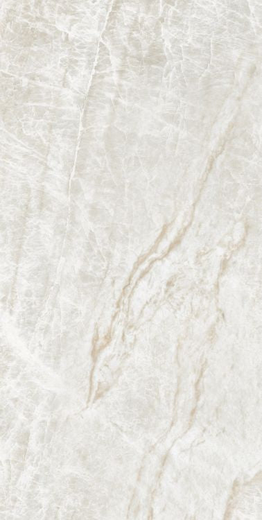 Kraken Polished 24 x 48