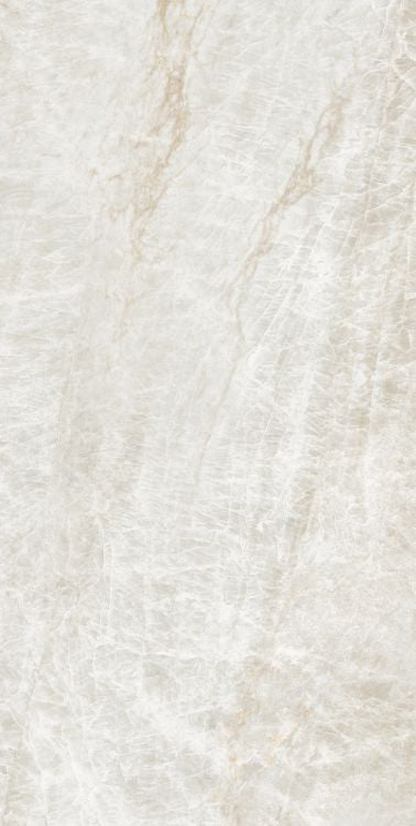 Kraken Polished 24 x 48