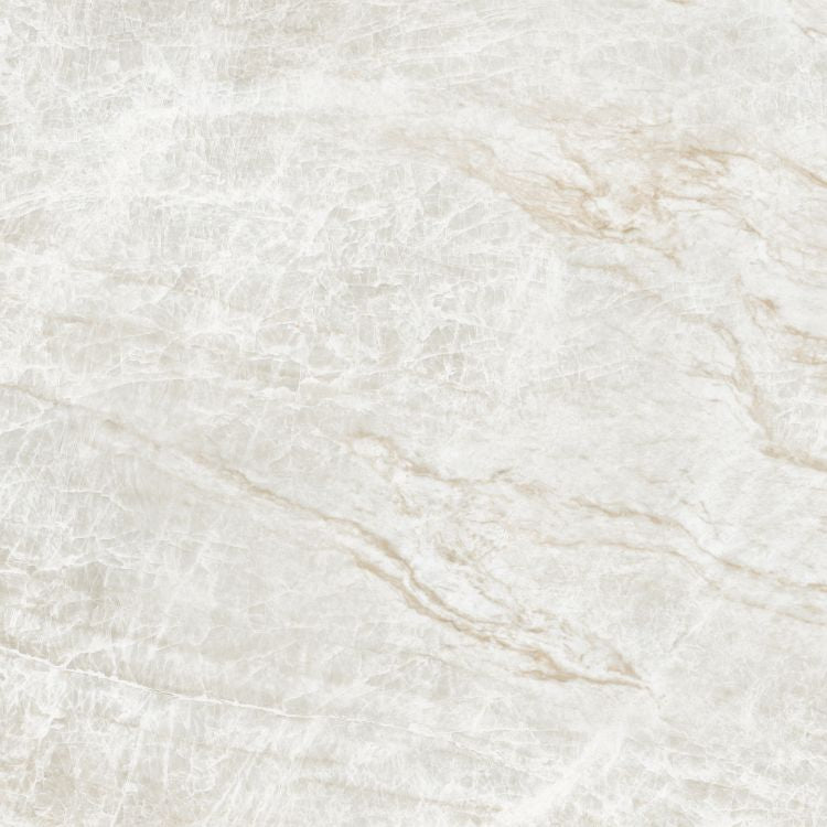Kraken Polished 48 x 48