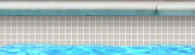 Fujiwa White Unglazed 1" x 1" Dot Mounted Porcelain Pool Tile