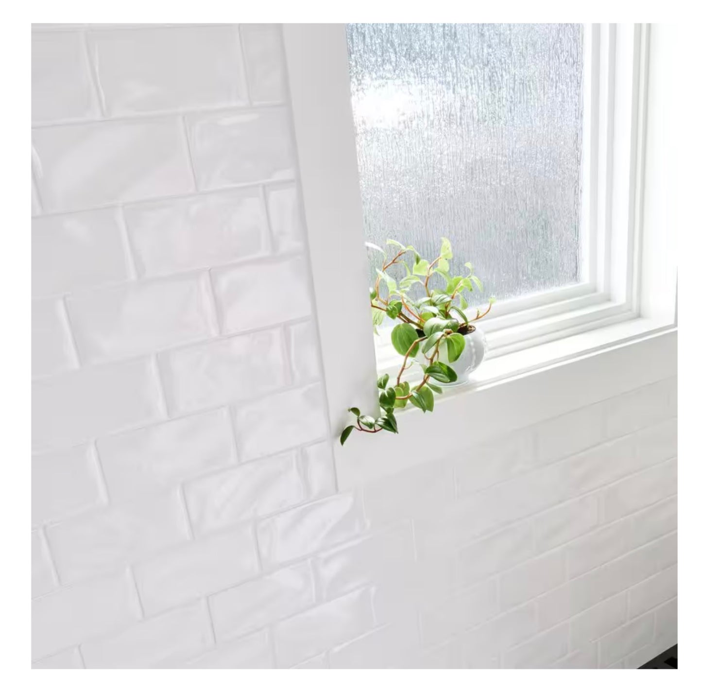 Divine Whisper White 3" x 6" Glossy Ceramic Subway Tile