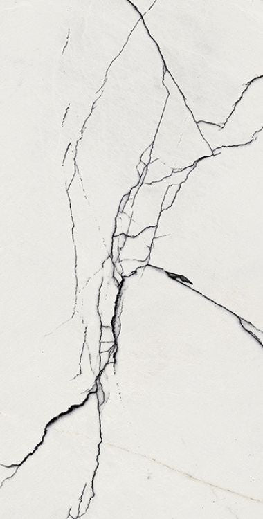 B&W Breach Glossy 12 x 24 Porcelain Tile by FLORIM