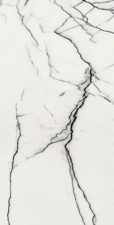 B&W Breach Glossy 12 x 24 Porcelain Tile by FLORIM
