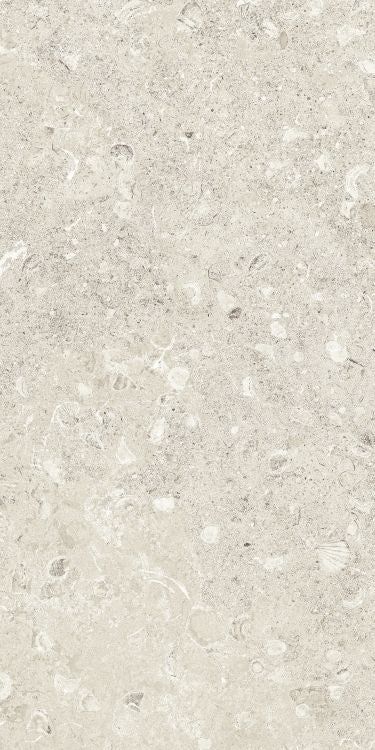 Sea Luster Avorio Matte 12 x 24 by REFIN
