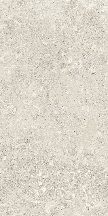 Sea Luster Avorio Matte 12 x 24 by REFIN