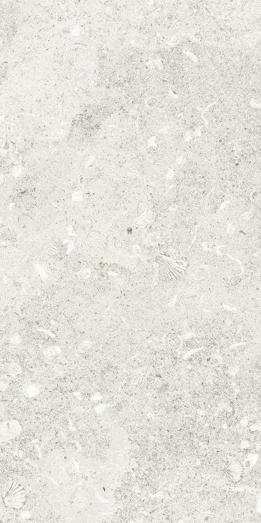 Sea Luster Bianca Matte 12 x 24 by REFIN