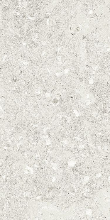 Sea Luster Bianca Matte 12 x 24 by REFIN