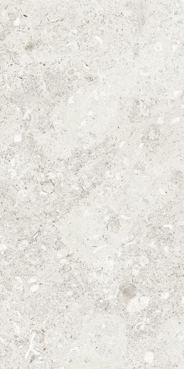 Sea Luster Bianca Matte 12 x 24 by REFIN
