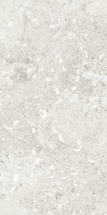Sea Luster Bianca Matte 12 x 24 by REFIN
