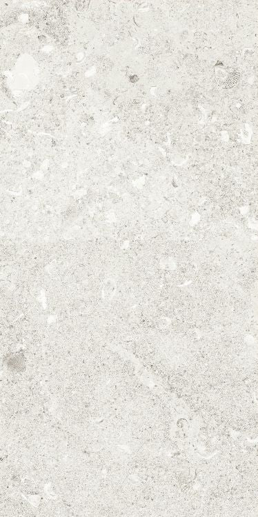 Sea Luster Bianca Matte 12 x 24 by REFIN