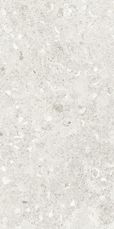 Sea Luster Bianca Matte 12 x 24 by REFIN
