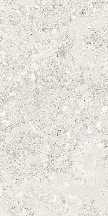 Sea Luster Bianca Matte 12 x 24 by REFIN