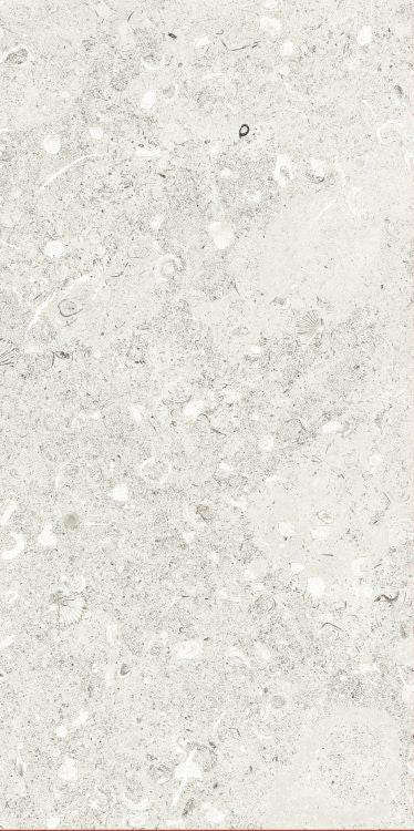 Sea Luster Bianca Grip R11 12 x 24 by REFIN