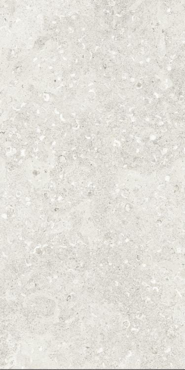 Sea Luster Bianca Matte 24 x 48 by REFIN