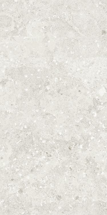 Sea Luster Bianca Matte 24 x 48 by REFIN