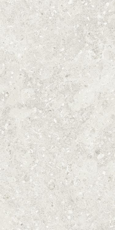 Sea Luster Bianca Matte 24 x 48 by REFIN