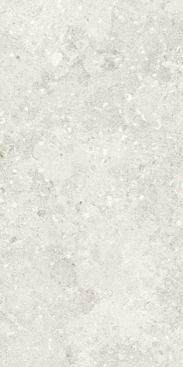 Sea Luster Bianca Matte 24 x 48 by REFIN
