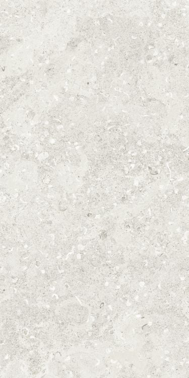 Sea Luster Bianca Matte 24 x 48 by REFIN