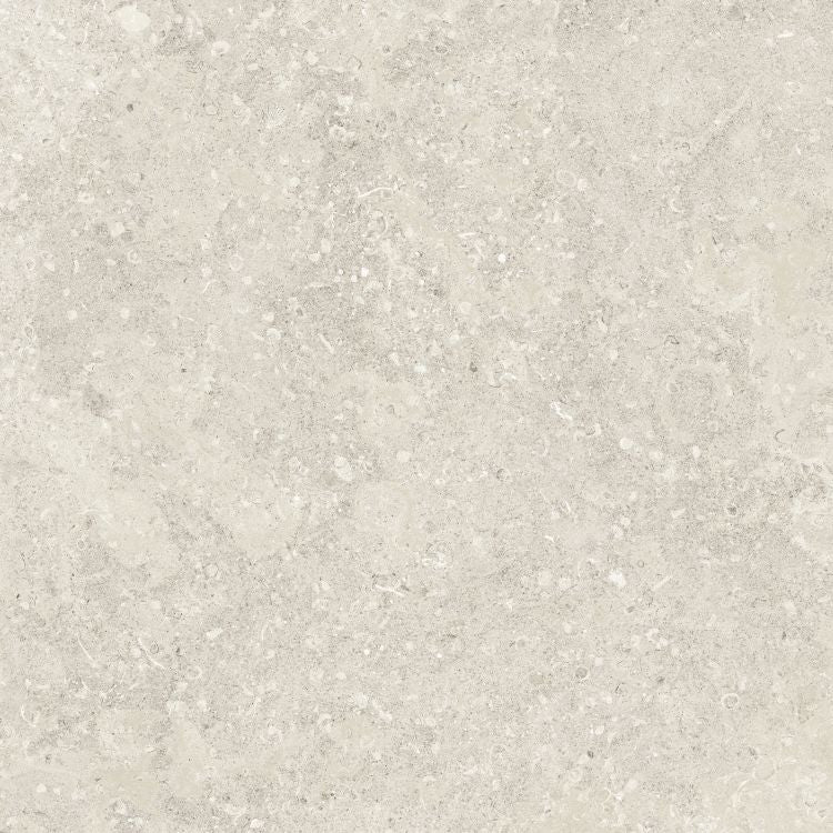 Sea Luster Avorio Matte 48 x 48 by REFIN