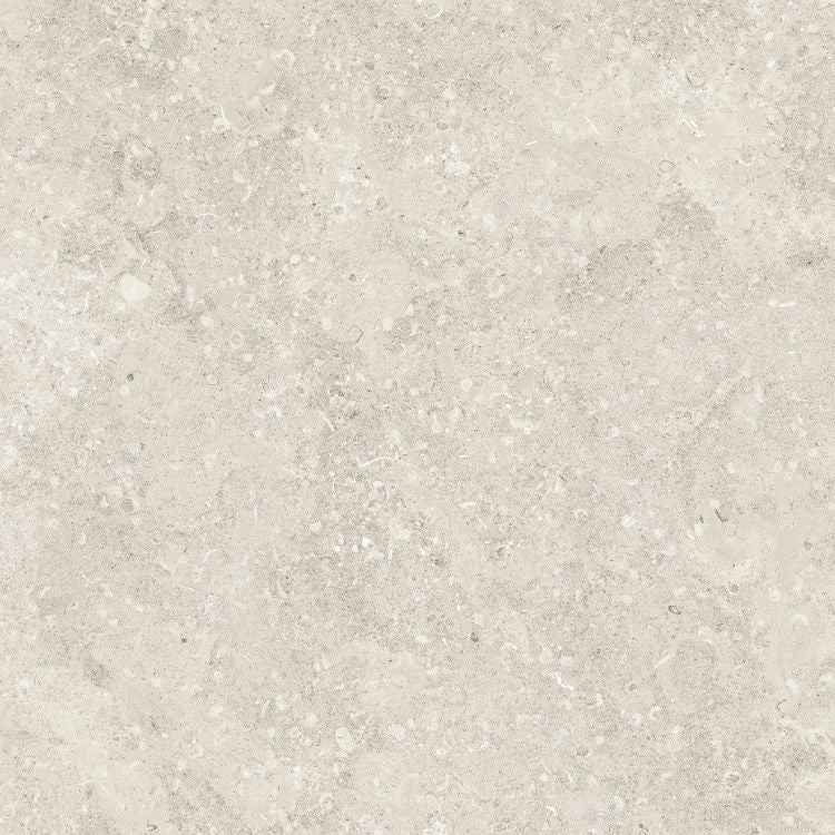 Sea Luster Avorio Matte 48 x 48 by REFIN