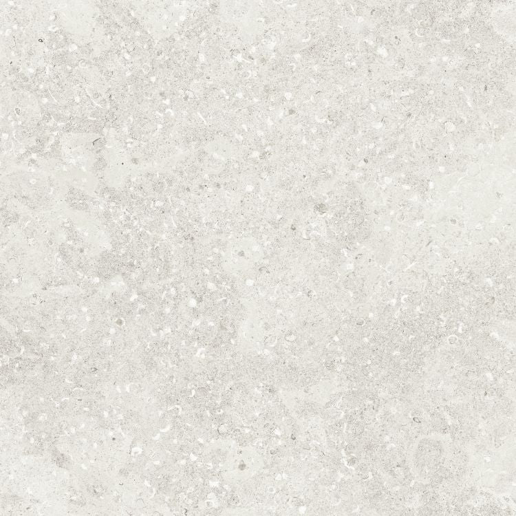 Sea Luster Bianca Matte 48 x 48 by REFIN