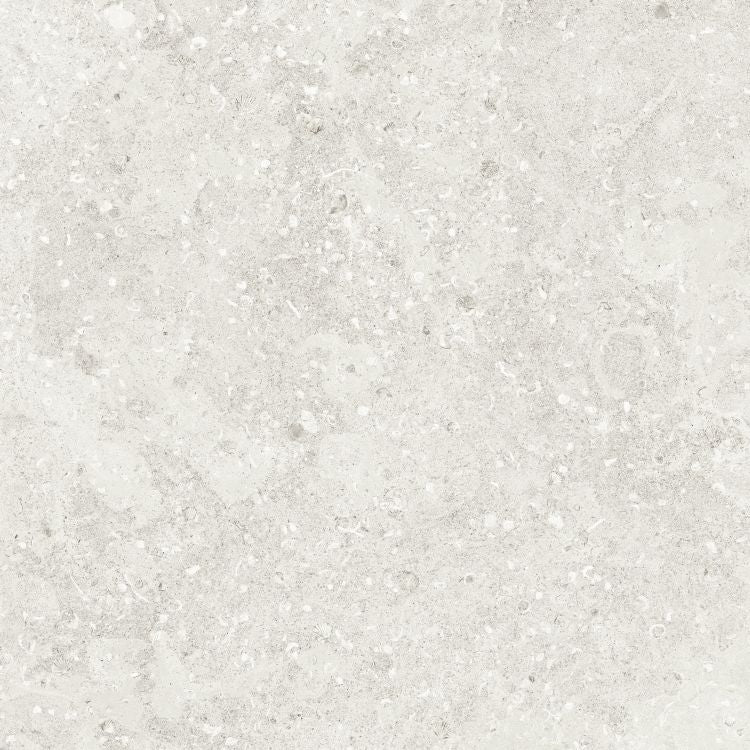 Sea Luster Bianca Matte 48 x 48 by REFIN
