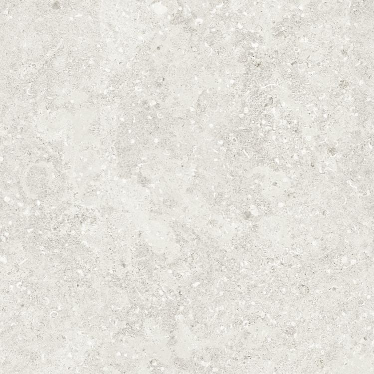 Sea Luster Bianca Matte 48 x 48 by REFIN