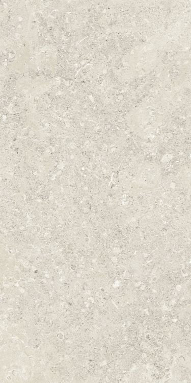 Sea Luster Avorio Matte 24 x 48 by Refin