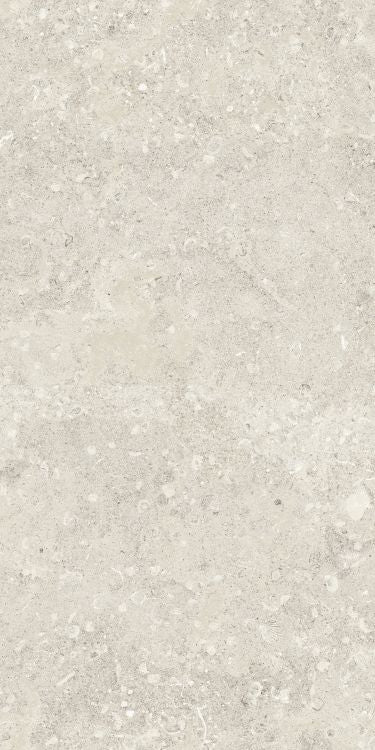 Sea Luster Avorio Matte 24 x 48 by Refin