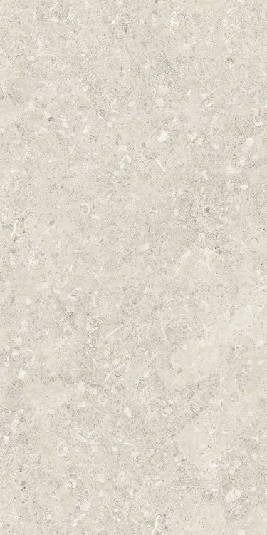 Sea Luster Avorio Matte 24 x 48 by Refin