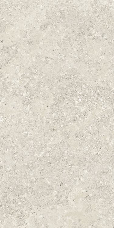 Sea Luster Avorio Matte 24 x 48 by Refin