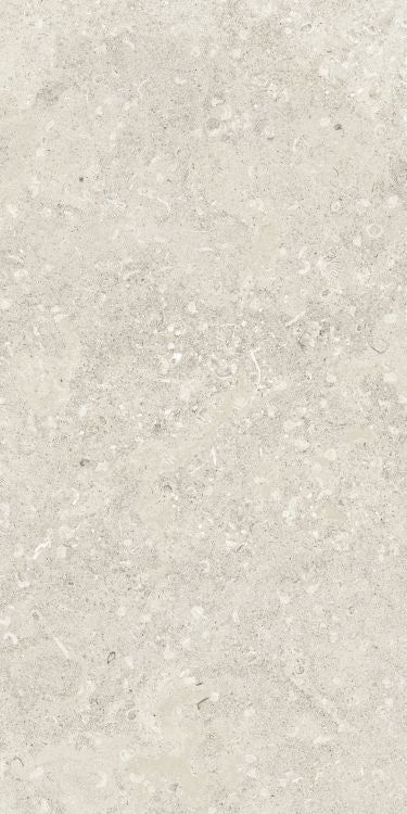 Sea Luster Avorio Matte 24 x 48 by Refin