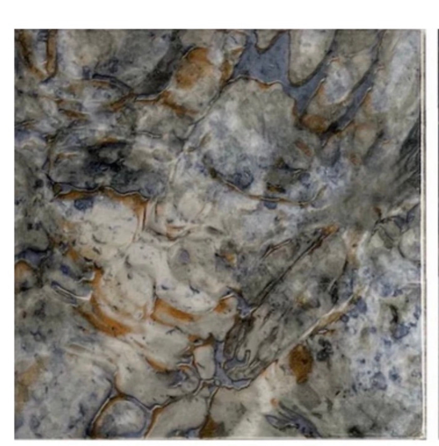 Inka Abalone 6" x 6" Glazed Porcelain Pool Tile by Fujiwa Tile