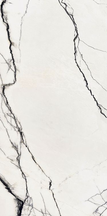 B&W Breach Naturale 24 x 48 by FLORIM