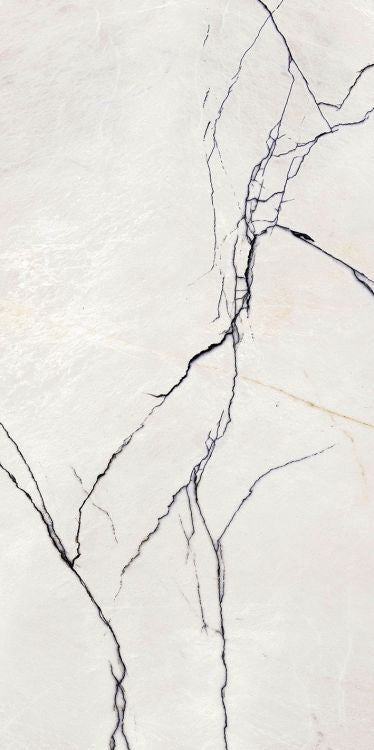 B&W Breach Naturale 24 x 48 by FLORIM