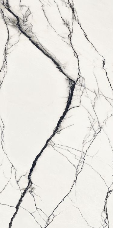 B&W Breach Naturale 24 x 48 by FLORIM