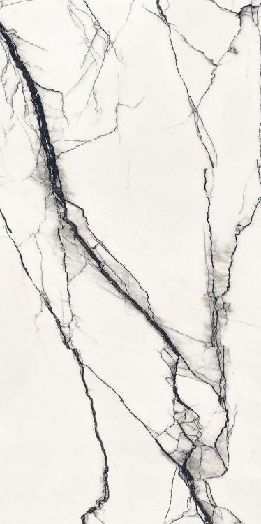 B&W Breach Naturale 24 x 48 by FLORIM