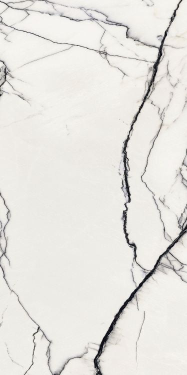 B&W Breach Naturale 24 x 48 by FLORIM