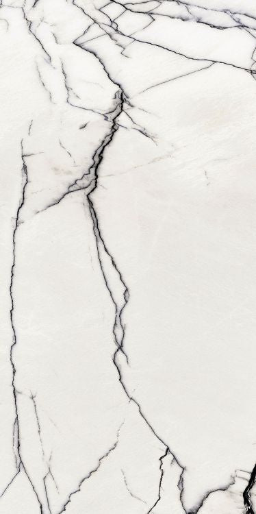 B&W Breach Naturale 24 x 48 by FLORIM