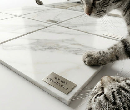 12x12 Tuscan Calacatta Gold Premium Italian Marble, 3/8 — product image 3