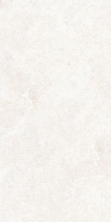 OL Limestone Bianco Matte 12 x 24 — product image 6