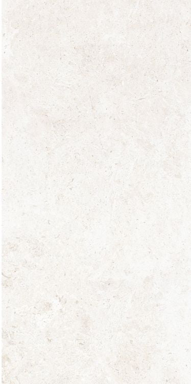 OL Limestone Bianco Matte 12 x 24 — product image 8