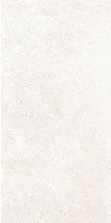 OL Limestone Bianco Matte 12 x 24 — product image 5