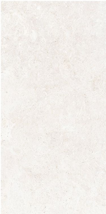 OL Limestone Bianco Matte 12 x 24 — product image 1