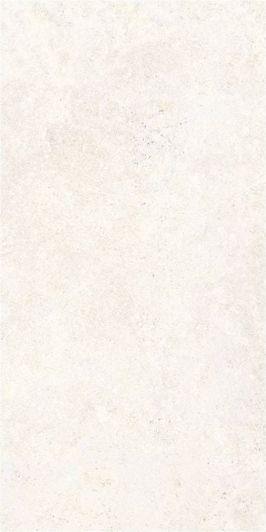 OL Limestone Bianco Matte 24 x 48 — product image 6